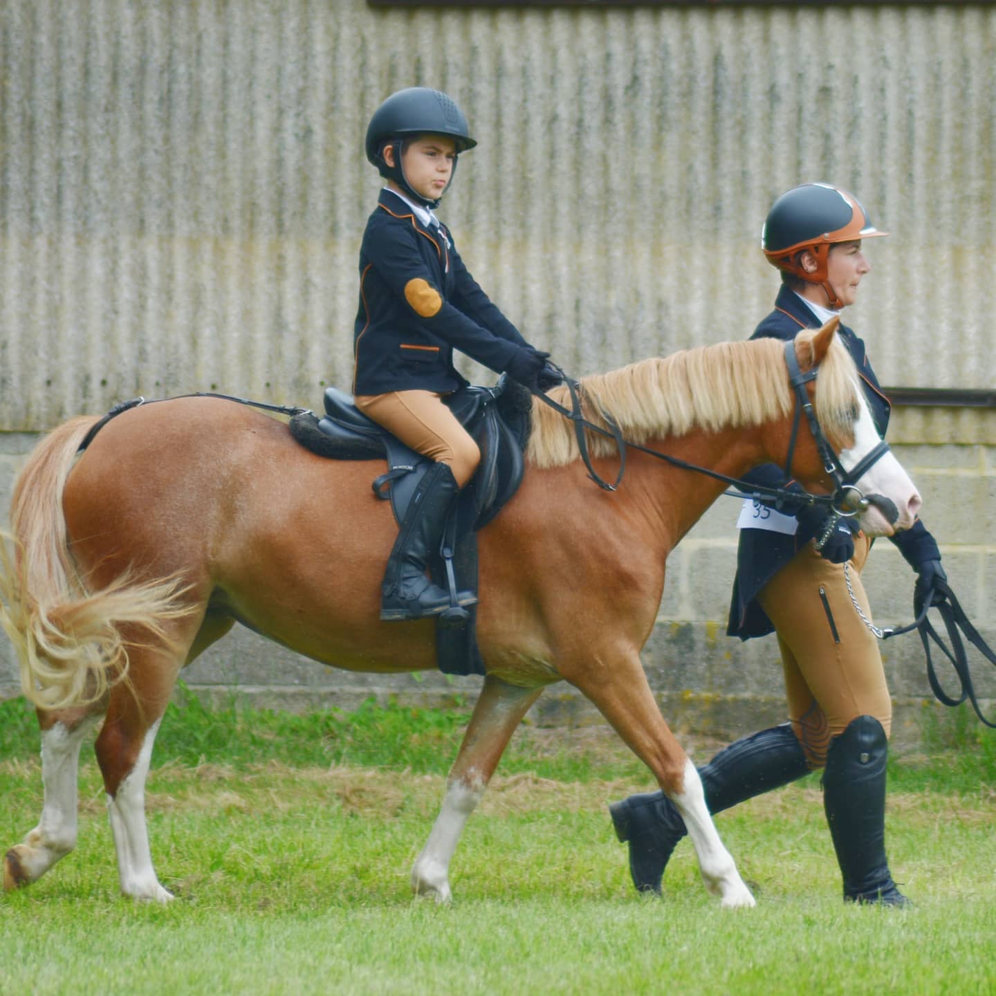 CCE (Concours Complet d’Équitation)