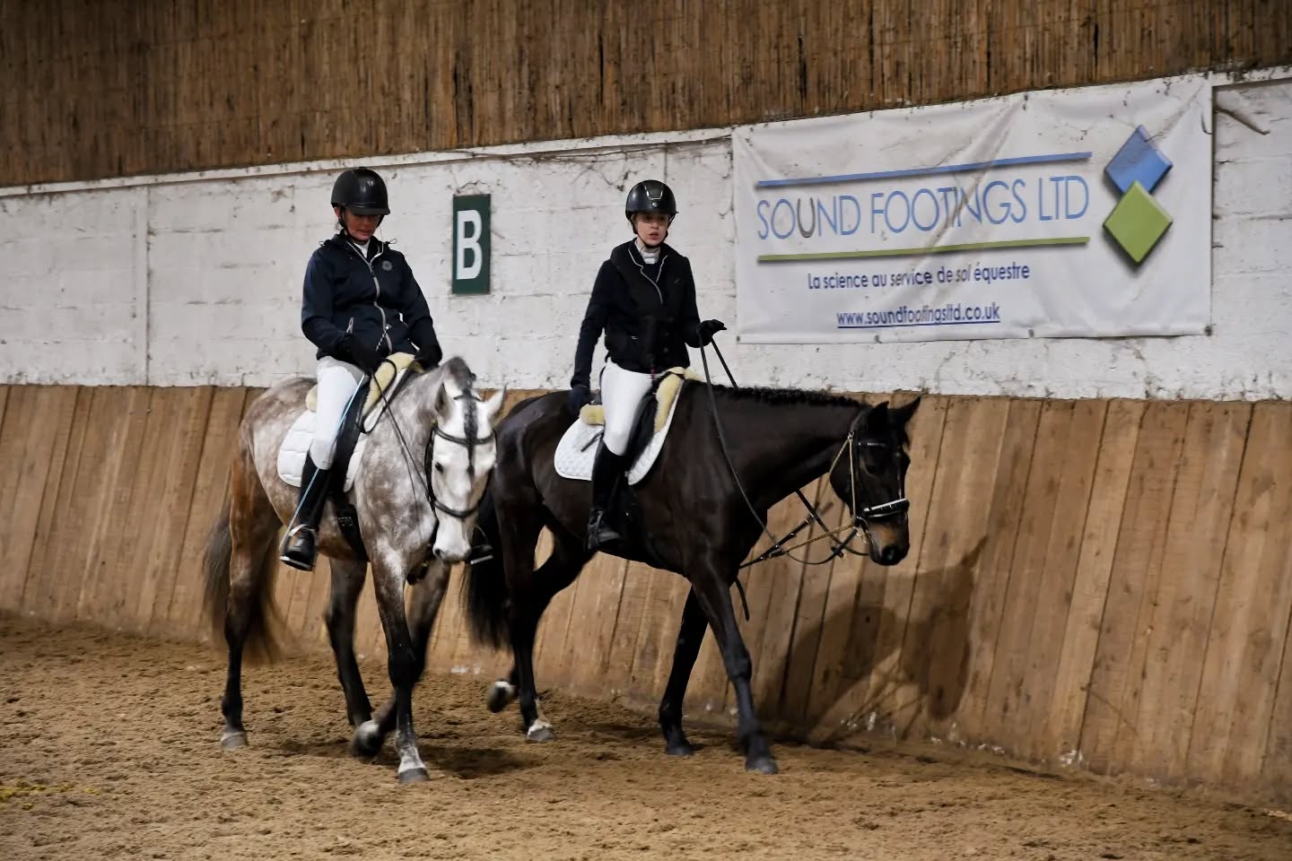 Dressage